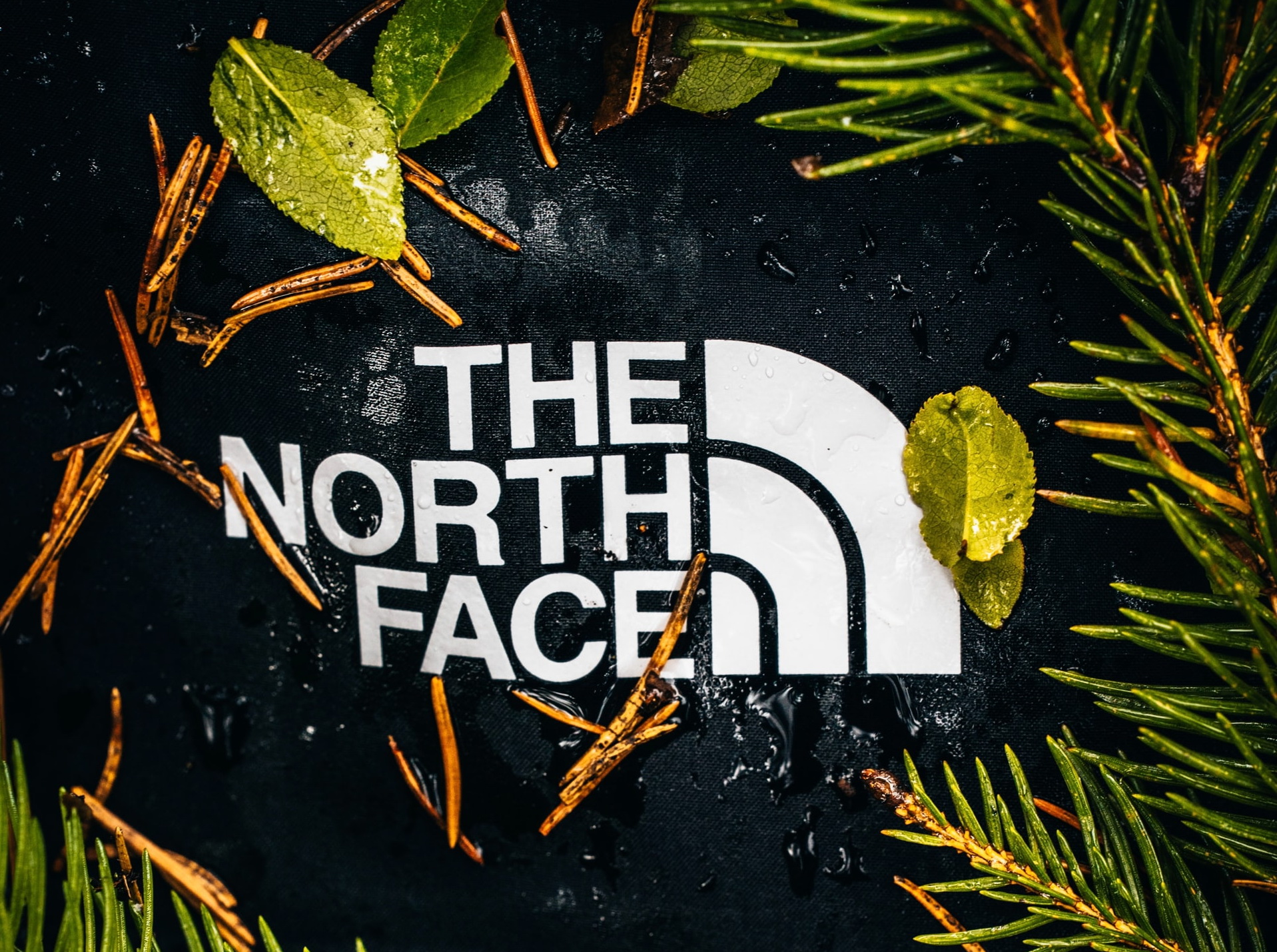 История бренда The North Face