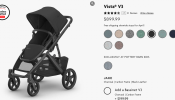 ТОП 8 магазинов колясок из США: где купить UPPAbaby и Bumbleride с доставкой в Россию